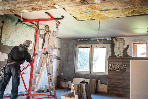 Best DIY Insulation Kits and Guidance in Lewisburg, KY