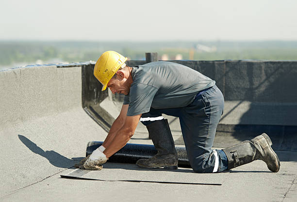 Best Cellulose Insulation in Lewisburg, KY