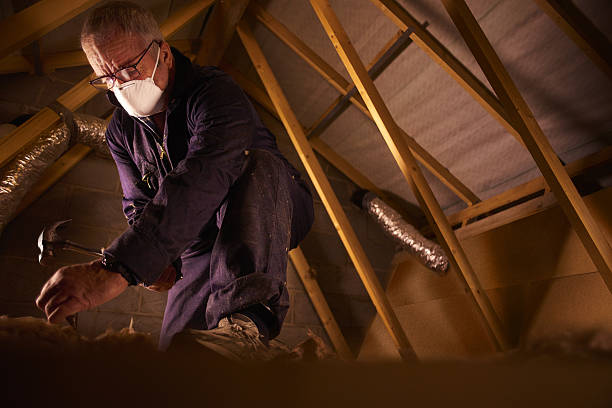 Best Fiberglass Insulation in Lewisburg, KY